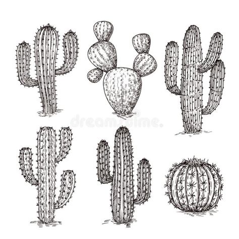 Mexican Plants, Western Mexican, Plants Vector, Cactus Collection, Cactus Vector, Cactus Tattoo, Cactus Drawing, Cactus Illustration, Plant Vector