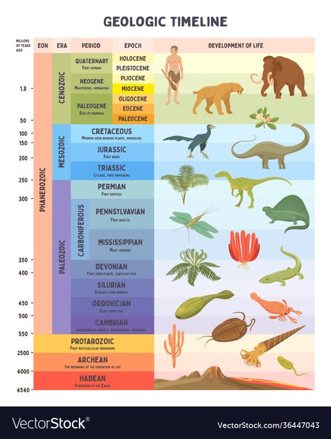 Geological Time Scale Timeline, Geologic Time Scale, Timeline Images, History Of Earth, Teaching Geography, Scale Drawing, Biology Lessons, Flat Vector Illustration, History Timeline