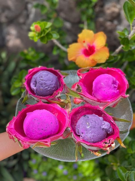 Dragon Fruit Tea Recipe, Dragon Fruit Ice Cream, Fruit Cupcakes Recipes, Dragon Fruit Bowl, Fruit Tea Recipes, Dragon Fruit Juice, Dragon Fruit Benefits, Coconut Cream Frosting, Fruit Cupcakes