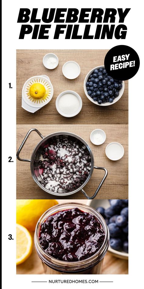 Tart, smooth and decadent. The most yummy and easy blueberry pie filling recipe ever! Blueberry Tarts Filling, Easy Pie Filling Recipes, Easy Blueberry Pie Filling, Homemade Blueberry Pie Filling, Frozen Blueberry Pie, Blueberry Pie Filling Recipes, Tart Shells Recipe, Nutella Dessert Recipes, Easy Blueberry Pie