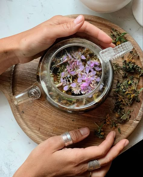 Eastern Medicine Aesthetic, Tinctures Aesthetic, Witchy Instagram Aesthetic, Herbal Medicine Photography, Herbal Healing Aesthetic, Tea Herbs Aesthetic, Apothecary Product Photography, Modern Herbalist Aesthetic, Herbal Remedies Aesthetic