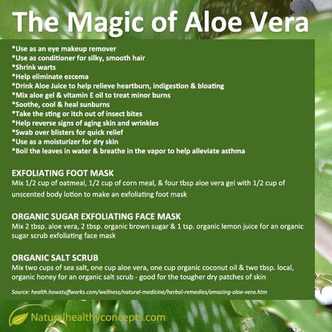 Aloe Vera Powder Uses, Aloe Vera Toothpaste, Aloe Vera Acne, Witch Grimoire, Heal Sunburn, Gallbladder Cleanse, Aloe Vera Moisturizer, Aloe Vera Benefits, Aloe Vera For Skin