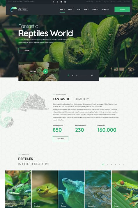 WildWorld - Nonprofit Ecology WordPress Theme is a specialized and visually engaging theme designed for environmental organizations, nonprofits, and ecological projects. Environment Website Design, Environmental Website Design, Environmental Website, Environment Website, Unicorn Fish, Website Design Layout, Angel Fish, Building A Website, Animals Of The World