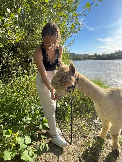 Animal Shelter Aesthetic, Alpaca Aesthetic, Alpaca Walking, Italian Nature, Farm Pictures, Alpaca Farm, Africa Do Sul, Farm Photo, Summer 2025