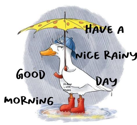 Good Morning Rain, Rainy Good Morning, Good Morning Rainy Day, Rainy Day Quotes, Sweet Good Morning Images, Cute Good Morning Gif, Good Morning Winter, Morning Sayings, Morning Winter