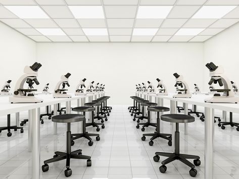 To often, labs follow strict procedures and rules for data collection. It's better to let students simply experiment and focus on ideas. Physics Lab, Neon String Lights, Panel Light, Light Leak, Edge Lighting, Light Bright, Modern Vanity, Kitchen Pendants, Farmhouse Lighting