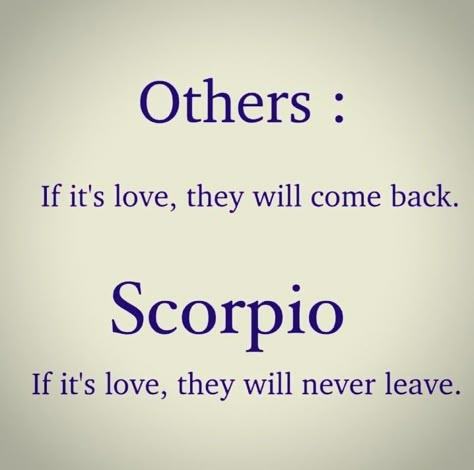 Scorpio Love Quotes, Scorpio Man Personality, Warning Labels Funny, Zodiac Signs Images, Sagittarius Quotes Facts, Lucky Quotes, Scorpio Personality, All About Scorpio, Personality Quotes