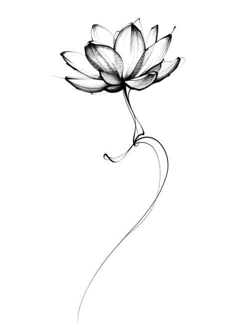 Lotus Flower Tattoo Black And White, Flower Color Tattoos, Abstract Rose Tattoo, Lotus Black And White, Flowers Tattoo Design, Koi Tattoo Design, Lotus Flower Tattoo Design, Ink Landscape, Flower Reference