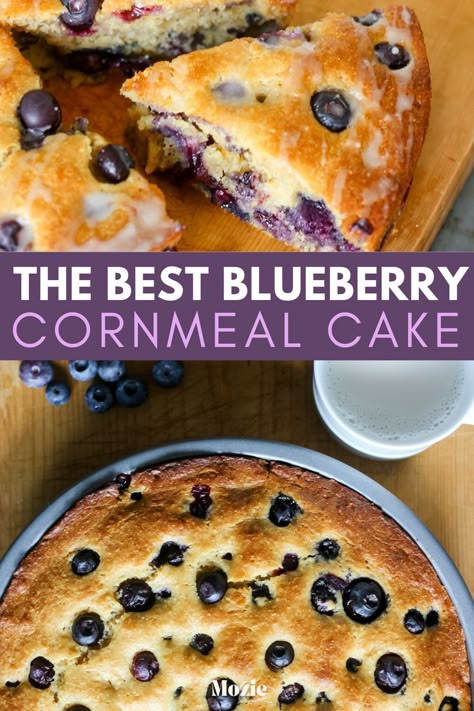 blueberry cornmeal cake. blueberry cornmeal cake skillet. lemon blueberry cornmeal cake. cornmeal cake recipes. cornmeal recipes. cornmeal muffins. blueberry cake recipe. blueberry cake recipes easy. blueberry cake mix recipes. blueberry cake aesthetic. easy dessert recipes. easy dessert swith few ingredients. easy desserts for a crowd. breakfast cake recipes. breakfast cakes easy.  breakfast cakes and breads. breakfast cake aesthetic. cake recipes from scratch. cake recipes easy. Blueberry Cake Mix Recipes, Blueberry Cake Aesthetic, Easy Blueberry Cake, From Scratch Cake Recipes, Scratch Cake Recipes, Crowd Breakfast, Blueberry Cake Recipe, Blueberry Cornbread, Corn Cakes Recipe