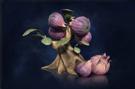 Shrivelfig | Harry Potter Wiki | Fandom Harry Potter Botanical, Novel Harry Potter, Harry Potter Prequel, Harry Potter Plants, Phoenix Harry Potter, Harry Potter Wiki, Rubeus Hagrid, Plant Study, Purple Plants