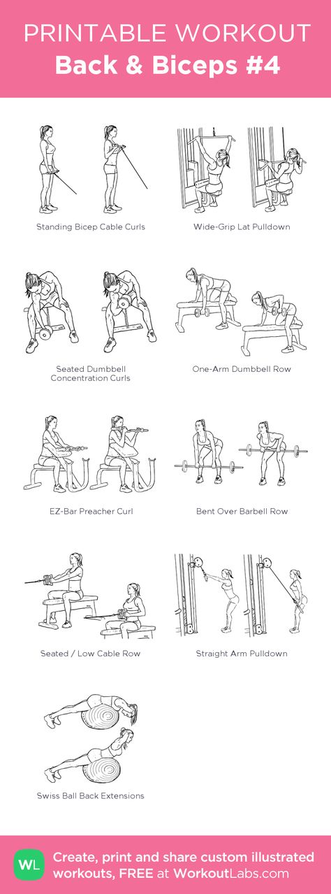 Back Ans Bis Workout Gym, Best Bicep Workout, Big Biceps Workout, Upper Body Workouts, Back And Bicep Workout, Bicep Workout, Printable Workouts, Biceps And Triceps, Triceps Workout