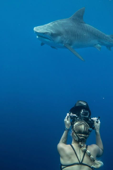 Marine Biology Aesthetic, Oceanography Marine Biology, Swimming In The Ocean, Marine Science, Wildlife Biologist, Venomous Snakes, Ocean Girl, Under The Water, Marine Biologist