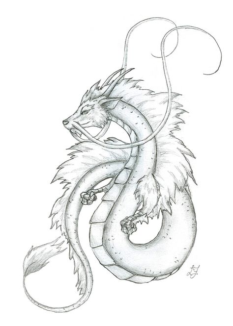 Dragon Line Drawing, Dragon Tattoo Drawing, Japanese Dragon Drawing, Easy Dragon Drawings, Drawing Dragon, Small Dragon Tattoos, Chinese Dragon Tattoos, Japanese Dragon Tattoo, Dengeki Daisy