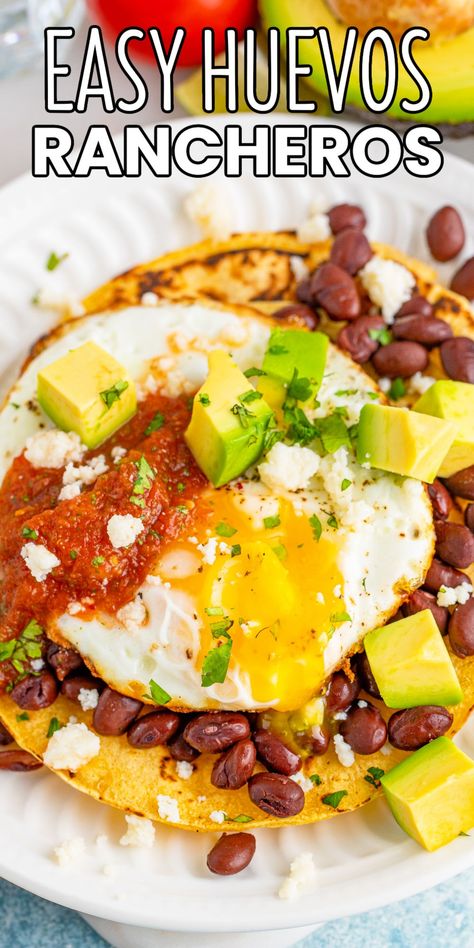 Huevos Rancheros is a deliciously easy Mexican breakfast made with eggs, tortillas, and beans that will keep you fueled all morning long! #BreadBoozeBacon #huevosrancheros #eggs #tortilla #beans #refriedbeans #blackbeans #quesofresco #salsa #breakfast #brunch #mexicanfood #texmex #cincodemayo Bean And Egg Breakfast, Huevos Rancheros Recipe Easy, Mexican Huevos Rancheros, Salsa Breakfast, Easy Mexican Breakfast, Easy Huevos Rancheros Breakfast, Egg Rancheros Mexican Breakfast, Rancho Huevos Breakfast Recipes, New Mexico Huevos Rancheros