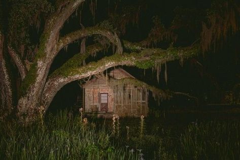 Demolition Lovers, Southern Gothic Aesthetic, Southern Nights, Louisiana Swamp, American Gothic, Southern Gothic, Gothic Aesthetic, Pirate Ship, Abandoned Places