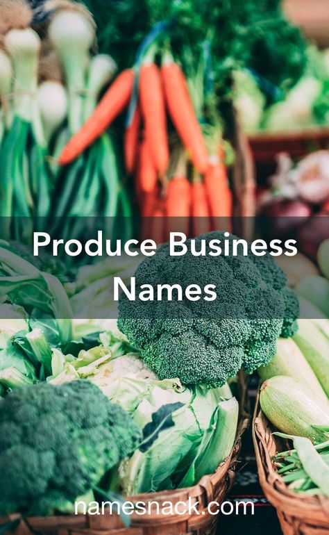 10 creative names for a produce business. Healthy Food Branding, Store Names Ideas, Organic Food Shop, Fruit And Veg Shop, Unique Business Names, Shop Name Ideas, Vegetable Stand, Vegetable Boxes, Vegetable Shop