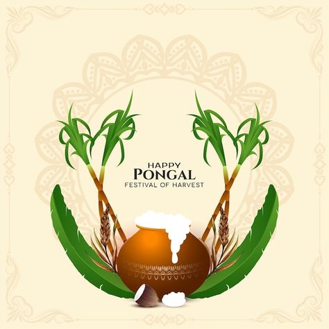 Pongal Poster Design, Pongal Posters, Pongal Poster, Pongal Background, Pongal Photos, Happy Makar Sankranti Images, Makar Sankranti Image, Thali Chain, Pongal Festival