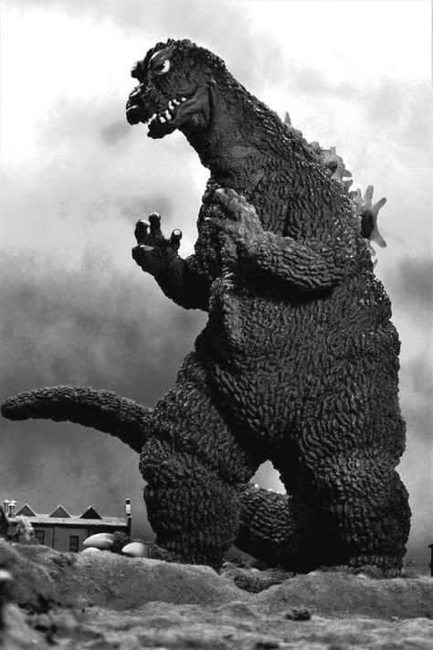 Godzilla Giant Monster Movies, Japanese Show, Japanese Monster, Witch Costumes, The Creeper, Horror Monsters, Cool Monsters, Japanese Film, Giant Monsters