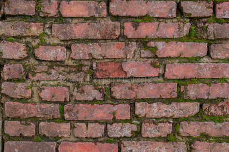 Mossy Brick Wall, Green Brick Wall, Uni House, Old Brick Wall, Fairy Village, Mossy Green, Red Bricks, Brick Wall, Design Inspo