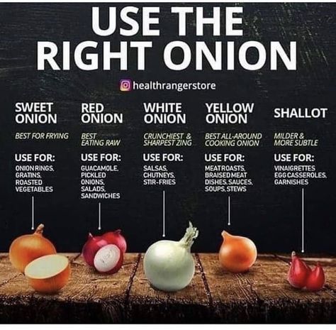 Cooking Onions, 500 Calorie, Cooking 101, For The Record, Food Info, Wrong Time, Cooking Basics, Food Facts, Eating Raw