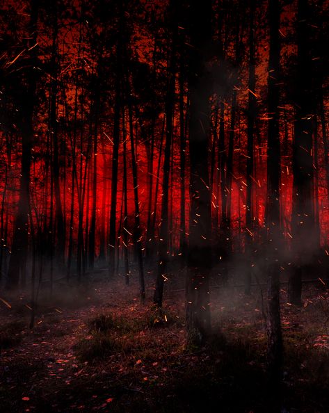 Forest On Fire Aesthetic, Burning Forest Aesthetic, Burning Forest Art, Fire Aethstetic, Fire Aesthetic Background, Forest Fire Aesthetic, Fire Background Aesthetic, Fire Aesthetic Dark, Red Fire Aesthetic