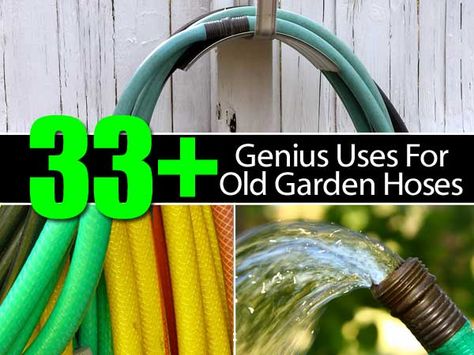 33  Genius Uses For Old Garden Hoses Recycled Garden Hose, Recycled Stuff, Gathering Ideas, Old Garden, Winter Projects, Gardening Projects, Garden Hoses, Recycled Garden, Personal Improvement