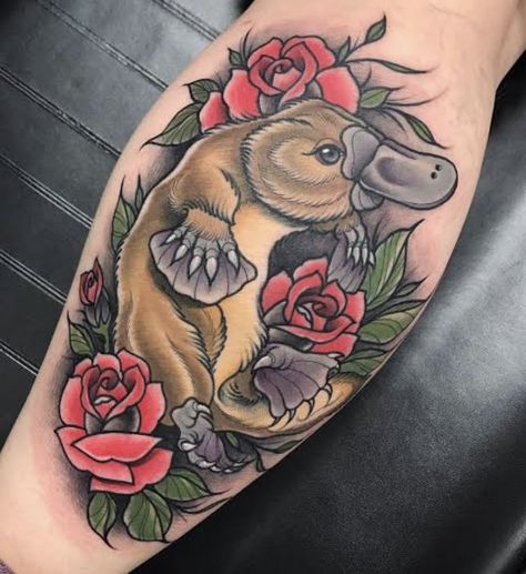 Platypus Tattoo, Tattoos Ghost, Manchester Tattoo, Tattoo Fixes, Boston Tattoo, Seal Tattoo, Honey Bee Tattoo, Australian Tattoo, Animal Sleeve Tattoo