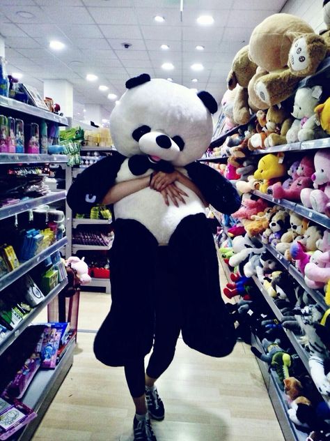 Panda Teddy, Ipa, Panda Bear, Thailand, Teddy Bear, Animals