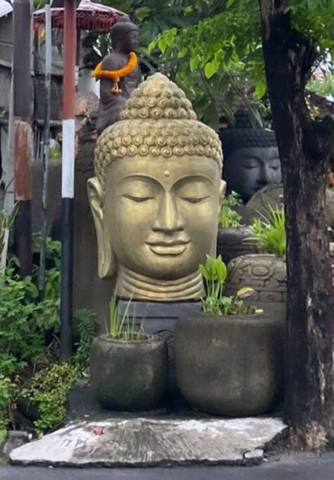 Buddha Statue In Garden, Buddha Garden, Buddha Head, Asian Inspired, Terrace Garden, Yoga Studio, Landscaping Ideas, Buddha Statue, Terrace