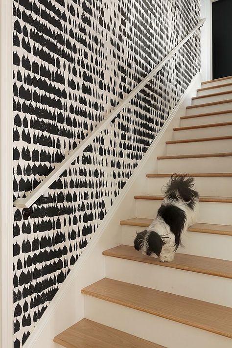 Graphic black and white wallaper adds chic beauty to the interior 16 Fabulous Ideas that Bring Wallpaper to the Stairway Staircase Wallpaper Ideas, Wallpaper Stairwell, Stairway Wallpaper, Staircase Wallpaper, Wallpaper Staircase, Stairway Wall, Stairwell Wall, Wallpaper Stairs, Ranch House Remodel