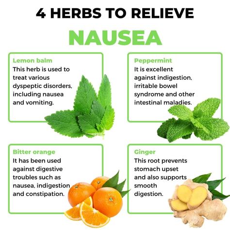 Home Remedy For Nausea, Remedy For Nausea, Home Remedies For Nausea, Relieve Nausea, How To Relieve Nausea, Remedies For Nausea, Natural Health Care, Irritable Bowel, Air Fryer Recipes Easy