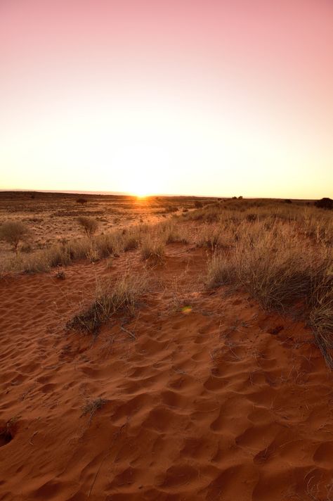 Northern Cape South Africa, Desert Inspo, Kalahari Desert, Northern Cape, Desert Oasis, Abstract Photography, Amazing Places, Zebras, Landscape Photos