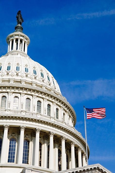 The US Capitol in Washinton DC with the American flag and the Goddess of Freedom atop the dome. United States Capitol, Us Capitol, The American Flag, Capitol Building, The Goddess, Leaning Tower Of Pisa, Washington Dc, The United States, American Flag