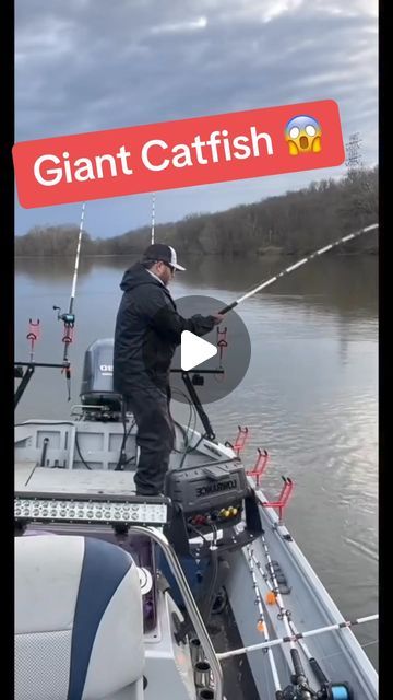 Kody Kennedy on Instagram: "MONSTER fight! MONSTER catfish! #fishing #catfish #bigfish #monsterfish  #catchandrelease" Catfish Jugs Noodles, Giant Catfish, Fishing Catfish, Big Catfish, Catfish Fishing, Monster Fishing, Salt Water Fishing, Catching Fish, Fishing Life