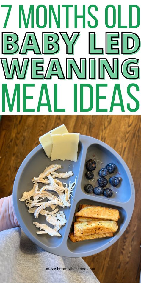 7 Month Old Baby Led Weaning Meal Ideas Blw Lunch Ideas 7 Month Old, Baby Led Weaning Lunch Ideas 7 Months, Meals For 7 Month Old Baby No Teeth, Meal Plan For 8 Month Old Baby, 7 Month Old Blw Ideas, 7 Month Blw Meals, 8 Month Meal Ideas, 7 Month Meal Ideas, 6 Month Old Lunch Ideas