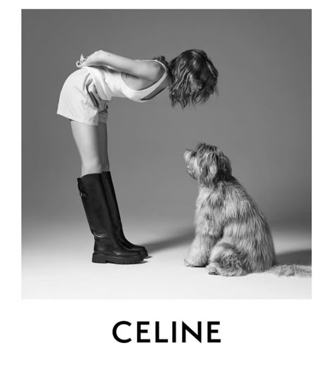 Dog Photoshoot, Dog Poster, Kaia Gerber, Black And White Portraits, White Dogs, Instagrammer, Dog Photography, Dog Life, Animal Photography