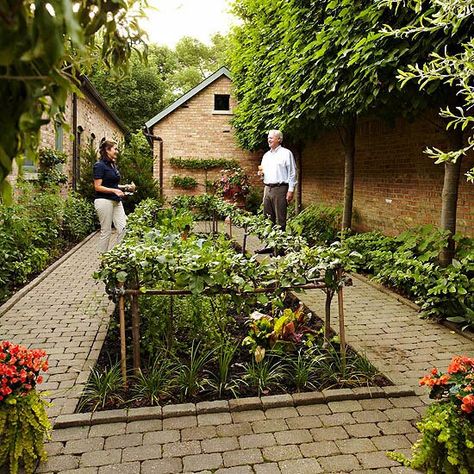 Courtyard Vegetable Garden Fall Vegetable Gardening, Tattoo Plant, Fall Vegetables, Garden Vines, Fall Garden Vegetables, Gardening Trends, Outdoor Living Rooms, Edible Landscaping, Vegetable Gardening