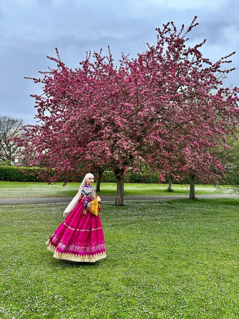 Afghan Photoshoot, Afghan Girl Aesthetic, Afghan Aesthetic, Afghan Culture, Afghan Style, Afghani Clothes, Afghan Dress, Nikkah Dress, Afghan Girl