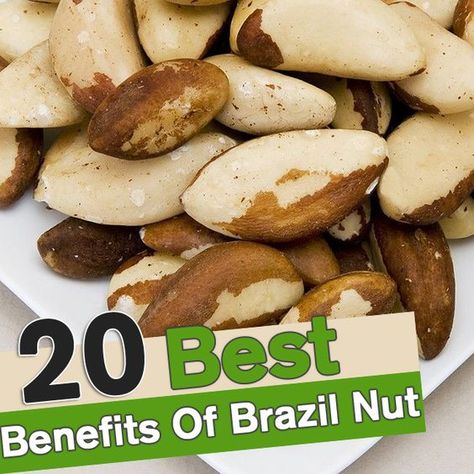 Brazil Nuts Benefits, Nut Benefits, Brazil Nut, Tomato Nutrition, Healthy Nuts, Matcha Benefits, Brazil Nuts, Lemon Benefits, Healthy Snacks Recipes