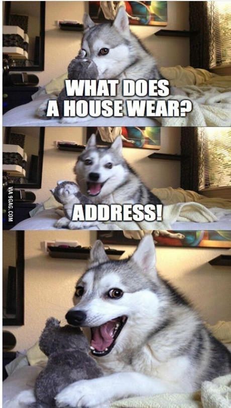 Hilarious Huskies With The Best Dad Jokes Husky Jokes, Bad Pun Dog, Jenaka Kelakar, Best Dad Jokes, Funny Dog Jokes, Dog Puns, Haiwan Comel, Cheesy Jokes, Desen Realist