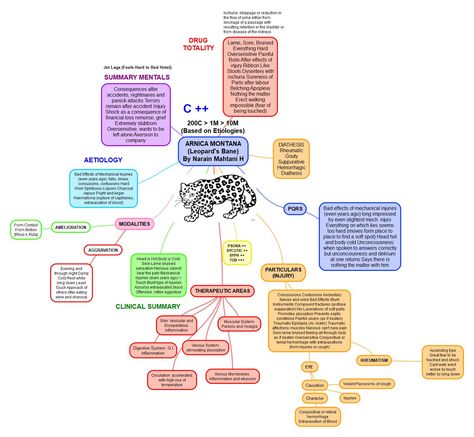 Arnica Montana Homeopathy, Homeopathy Remedies, Arnica Montana, Homeopathic Medicine, Homeopathic Remedies, Mind Map, Homeopathy, Montana, Medicine