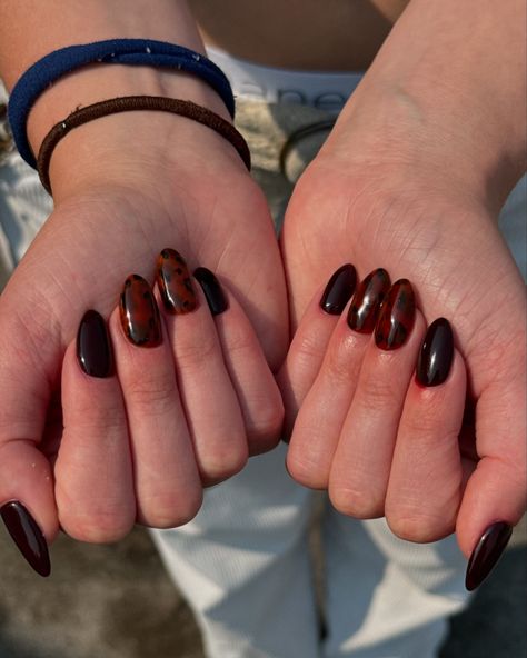 Tortoise shell is my FAVORITE Fall nail trend 🤎🐢 Products: #everythingmagpie @magpiebeautyusa Silent Night Brown Jelly Choc Chip Black Arty Gel Build It - Clear #fallnails #fallnailinspo #almondnails #nailartinspiration #utahnails #nails #nailart #nailinspo #utahnailtech #naildesigninspo #naildesign #nailinspiration #nailartinspo#summernails2024 #explore #nailartutorial #nailsofinstagram #structuredgel #trendynails #fallnailart #tortienails #tortoiseshellnails #brownnailinspo #brownn... Tortoise Shell Nails, Shell Nails, Trend Products, Fall Nail Trends, Nail Trend, Fall Nail Art, Brown Nails, Nail Art Inspiration, Nail Technician