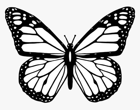 Butterflies Monarch, Easy Butterfly Drawing, Monarch Butterfly Tattoo, Simple Butterfly Tattoo, Butterfly Black And White, Butterfly Outline, Butterfly Stencil, Butterfly Coloring, Butterfly Mandala