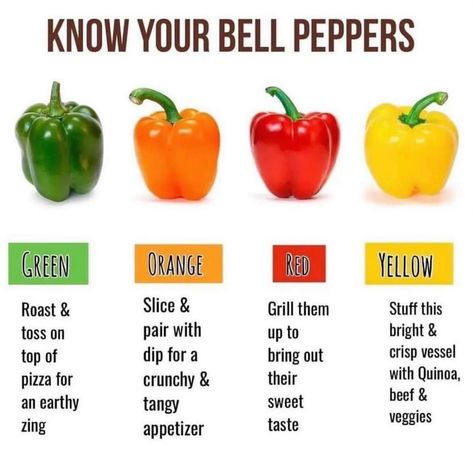 Fred’s Farm | Herbs (@FredsFarm247) on X Bell Pepper Benefits, Pepper Benefits, Food Knowledge, Mediterranean Diet Plan, The Mediterranean Diet, Daily Recipes, Frozen Vegetables, Healing Food, Bell Peppers