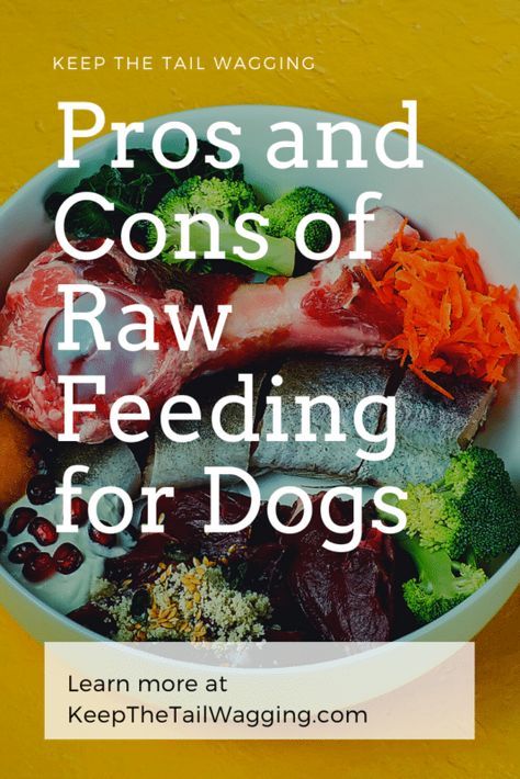 Feeding Your Dog A Raw Diet, Cheap Raw Food Diet For Dogs, Feeding Dogs Raw, Raw Food Diet For Dogs Recipes, Feeding Raw Diet To Dogs, Raw Meat For Dogs, Natural Food For Dogs, Raw Fed Dogs Diet, Raw Meat Diet For Dogs