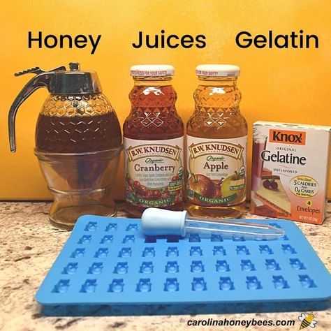 Honey Gummies Recipe, Honey Gummies, Pantry Apothecary, Healthy Gummy Bears, Gummy Bears Recipe, Gummy Bear Recipe, Honey Ideas, Homemade Gummy Bears, Homemade Fruit Snacks