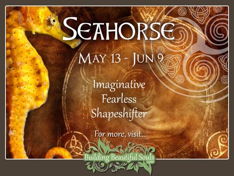 Seahorse Celtic Zodiac Sign - May 13 - June 9. Learn all about your Celtic Animal Zodiac meanings Stag Spirit Animal Meaning, Celtic Animal Zodiac, Wicca Lifestyle, Spiritual Husband, Deer Totem, Celtic Zodiac Signs, Animal Totem Spirit Guides, Celtic Zodiac, Celtic Star