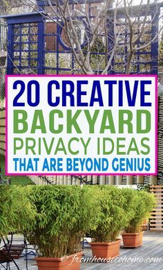 Backyard Privacy Ideas, Privacy Screen Ideas, Backyard Privacy Screen, Privacy Trellis, Pergola Cover, Garden Screens, Privacy Ideas, Patio Privacy, Privacy Landscaping