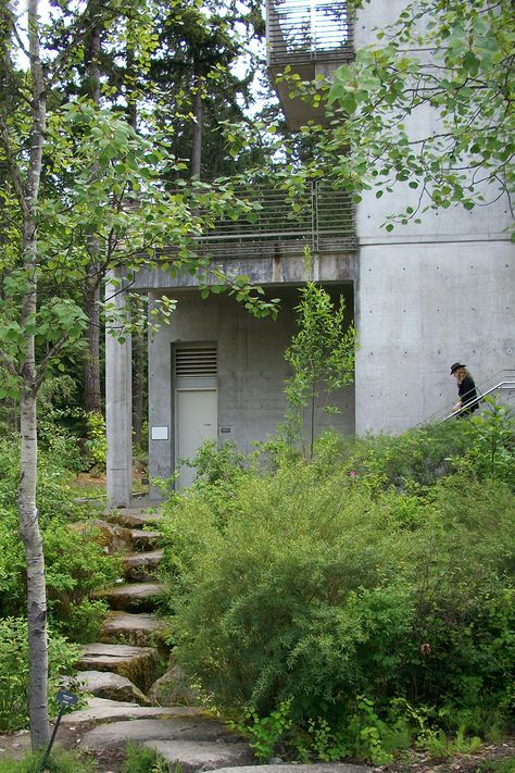 Evergreen State College, Vision Bored, Evergreen State, College Campus, State College, Garden Arch, Washington, Outdoor Structures, University