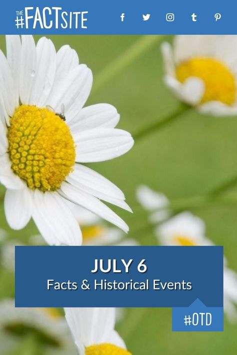 Did you know that on this day, July 6, 1785, the US adopted dollars as its official currency? Today is known as Virtually Hug a Virtual Assistant Day, and was the day Kevin Hart was born. We have some interesting facts & historic events all about July 6th, including areas in religion, crime, health and more. #TheFactSite #OnThisDay #July6 #TodayInHistory #TodayFacts #OTD #KissingDay Study Chemistry, Virtual Hug, Hayden Panettiere, Today In History, August 21, July 6th, American Rappers, The Old Days, Days Of The Year